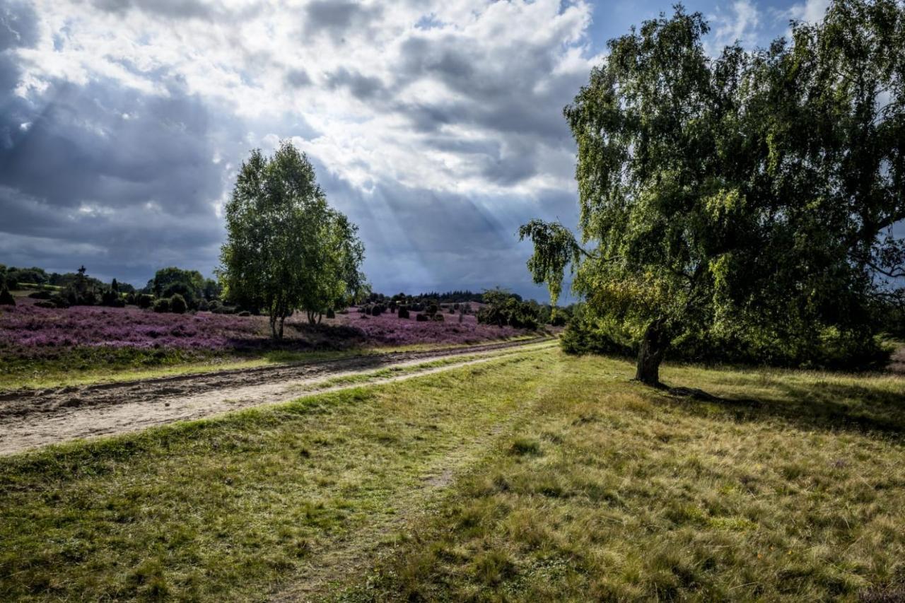 Ferienwohnung Heide View Bispingen Bagian luar foto