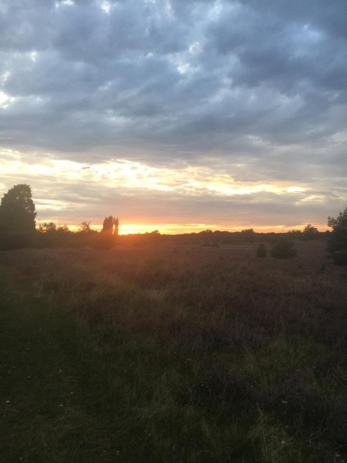 Ferienwohnung Heide View Bispingen Bagian luar foto
