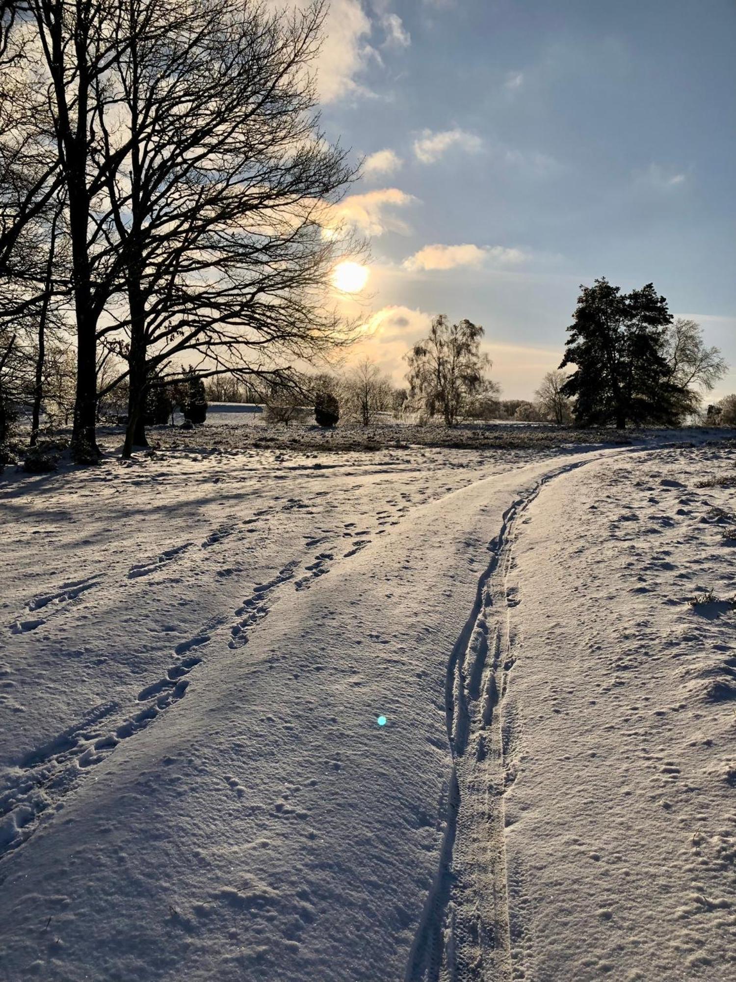Ferienwohnung Heide View Bispingen Bagian luar foto