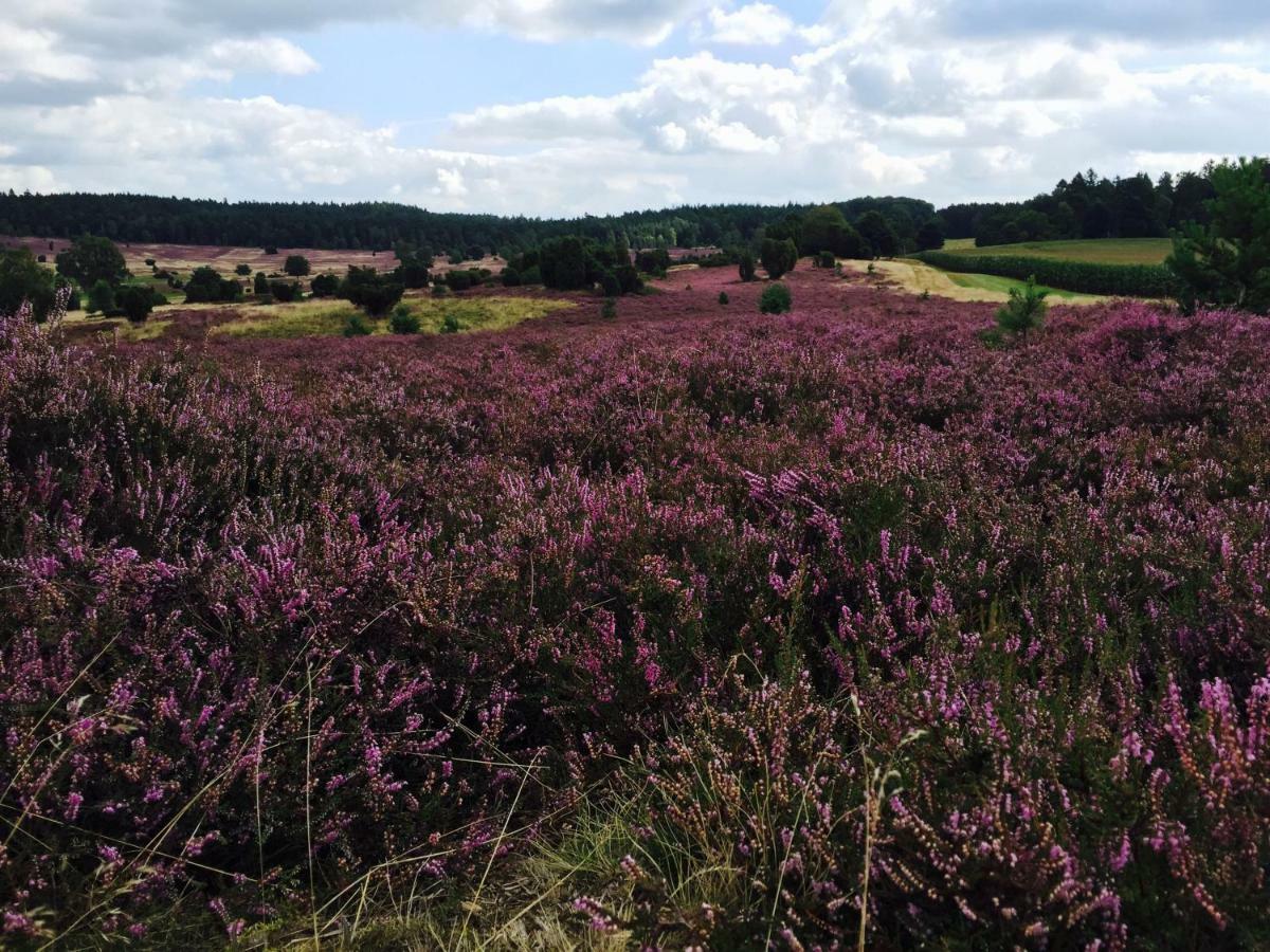 Ferienwohnung Heide View Bispingen Bagian luar foto